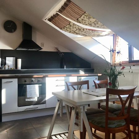 Apartman Slovinska 28 เบอร์โน ภายนอก รูปภาพ