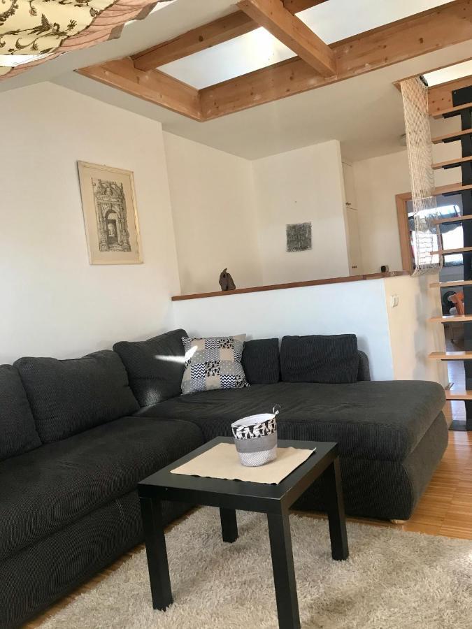 Apartman Slovinska 28 เบอร์โน ภายนอก รูปภาพ