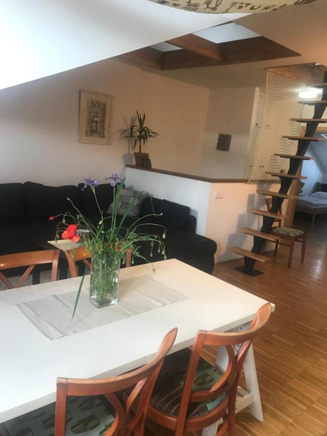 Apartman Slovinska 28 เบอร์โน ภายนอก รูปภาพ