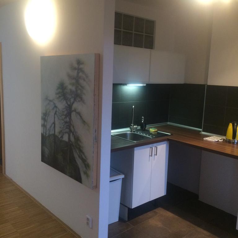 Apartman Slovinska 28 เบอร์โน ภายนอก รูปภาพ