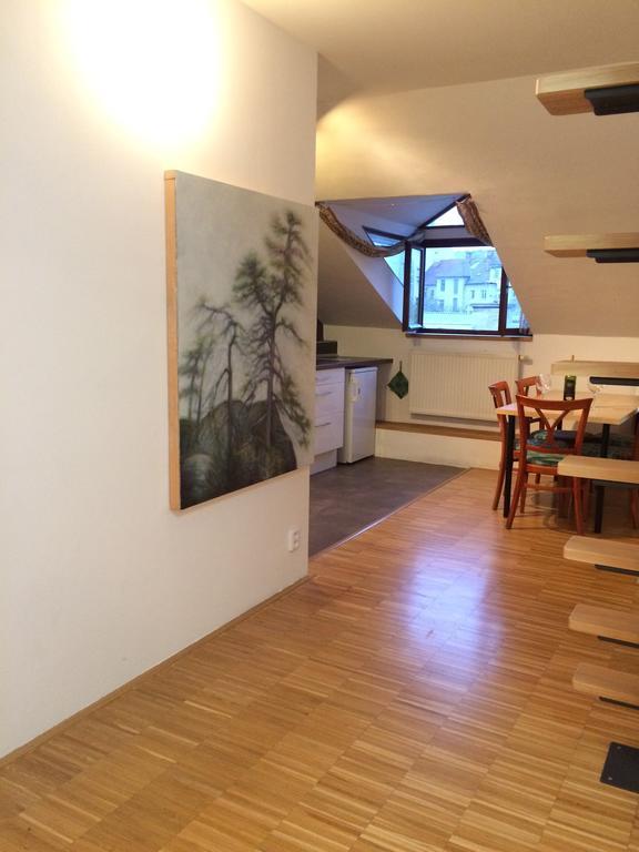Apartman Slovinska 28 เบอร์โน ภายนอก รูปภาพ